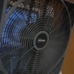 Fan